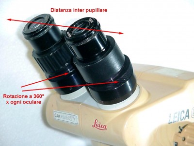 I movimenti degli oculari: regolazione inter pupillare, regolazione singola collimazione, regolazione singola messa a fuoco.