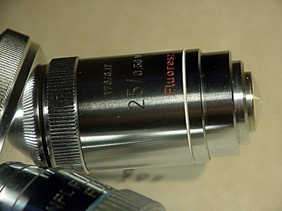 Leitz Fluotar 25x/0,60 W