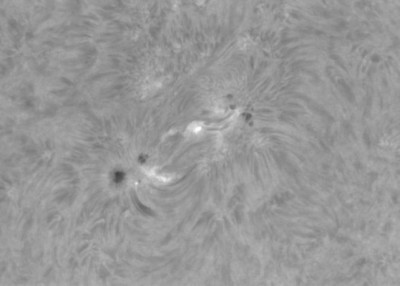 AR12597.jpg