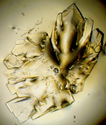 Cristallo amaro nerone con camera microscopio Bresser ottico