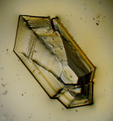 cristallo amaro nerone con camera microscopio 2 Bresser ottico