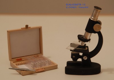 Microscopio-3.jpg