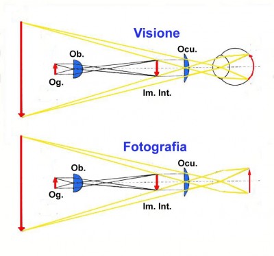 Schema ottico funzionale del microscopio, quando serve per vedere (sopra) o per fotografare (sotto).