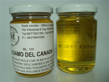 350x350_Balsamo del canada.jpg.png