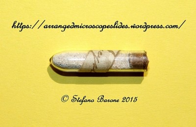 Victorian vial containing Polycystine.jpg
