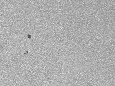 Newton 130 f/5 Astrosolar ND3.8 e Baader Continuum