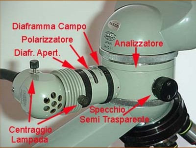 microscopio00.jpg