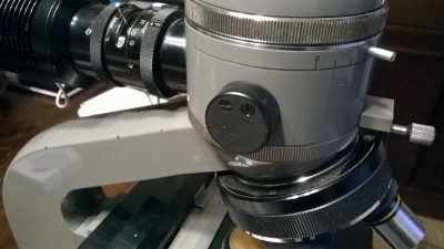 microscopio01.jpg
