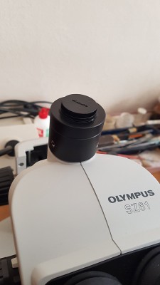 Olympus-1.jpg