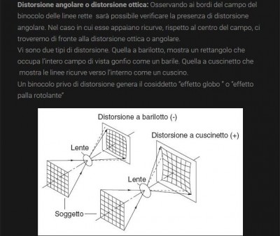 Da il &quot;GLOSSARIO di BINOMANIA&quot;.