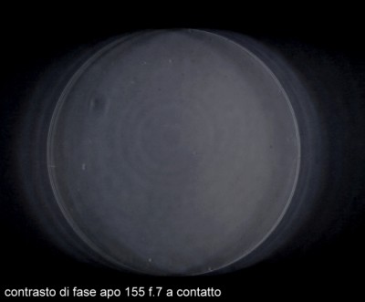 contrasto di fase apo 155 f 7.jpg