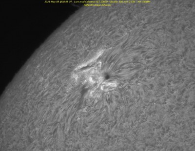 2021-05-09-0828-Halpha-AR12822.jpg