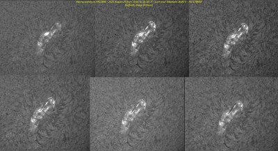 2021-08-29-1001 to 1010-Halpha-AR12860 flare.jpg