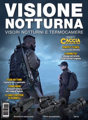 Visione-notturna_1.jpg