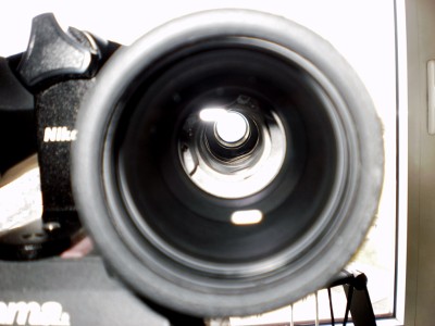 Nikon Action EX 16x50 - 03.jpg