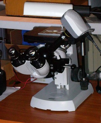 Videocamera HDCE-50B collegata ad un microscopio invertito, in ripresa continua (notate la fascetta di blocco)