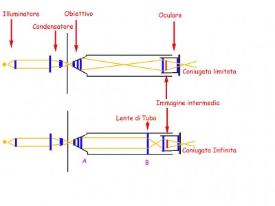 In alto microscopio a coniugata finita, in basso a coniugata infinita.