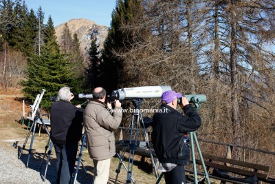 Il trio Monti, Rossi, Morelli in piena comparativa