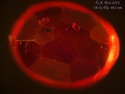 Analisi delle inclusioni in un rubino naturale, in luce fluorescente 465 nm