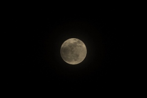 luna (300x200).jpg