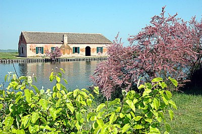 Casone di lavorazione dell'anguilla e lavoriero. (Museo delle Valli di Comacchio)