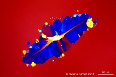 Wine crystal 1 by Stefano Barone Reduced.jpg